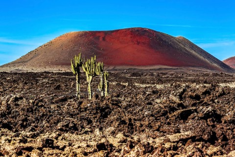 Montana Colorada volcano with cacti, volcanic environment of the Timanfaya Fire Mountains,