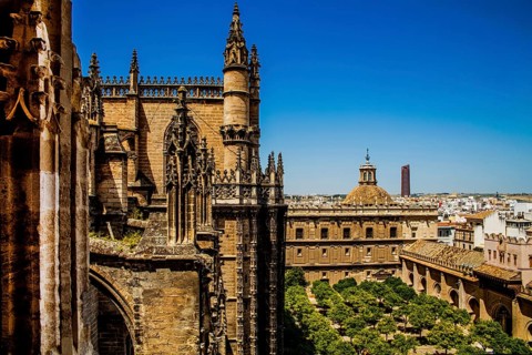 View of the cathedral with the orange courtyard from the Giralda, Seville, Seville, Andalusia,