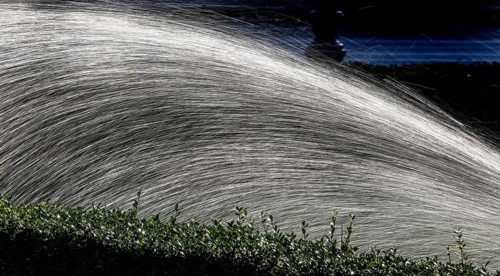 Lawn sprinkler, water, fresh water, symbolic picture, water, drops of water, rain, grass, drought,