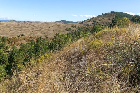 Countryside landscape view from Puerto de Sos hills south of Sos del Rey Catolico, Cinco Villas