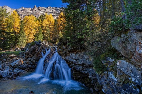 Waterfall, river, larch forest, autumn color, autumn, mountains, morning light, Morteratsch Valley,
