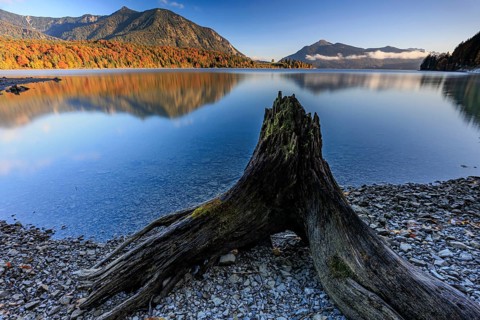 Mountain lake, reflection, morning light, mountains, shore, root, autumn, autumn discoloration,