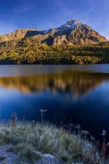 Mountains are reflected in lake, evening light, larch, autumn, autumn color, Lake Sils, Engadin,
