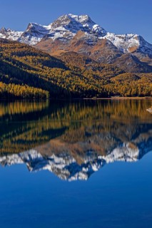 Mountain lake, reflection, mountains, larch forest, autumn discoloration, autumn, sunny,
