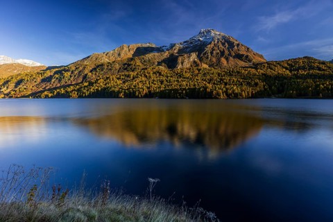 Mountains are reflected in lake, evening light, larch, autumn, autumn color, Lake Sils, Engadin,