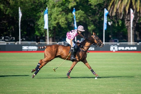 Scene at the 132nd Argentinean Open Polo Championship (Spanish Campeonato Argentino Abierto de