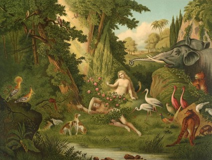 Biblical scene, Bible, The Creation of Eve, God created Eve from a rib of Adam after he let Adam