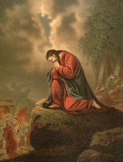 Biblical scene, Bible, Gethsemane, scene of the Passion story of Jesus on the western slope of the