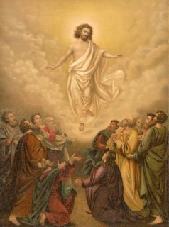 Biblical scene, Bible, The Ascension, Assumption of Mary, the Mother of Jesus, with body and soul,