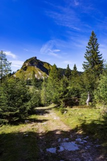 Hiking trail on the Genneralm with Holzeck, Postalm, Osterhorn Group, Salzkammergut, Province of