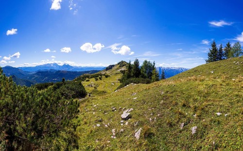 Hiking trail to Egelseehörndl, Postalm, Osterhorn Group, Salzkammergut, Province of Salzburg,