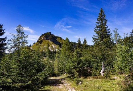 Hiking trail on the Genneralm with Holzeck, Postalm, Osterhorn Group, Salzkammergut, Province of