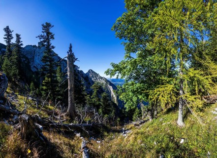 Mountain landscape on the way to Rettenkogel, Strobl, Postalm, Osterhorn Group, Salzkammergut,