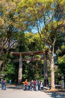 Kitasando Torii Grand Gate, Meiji Jingu Entrance, Meiji Shrine, Shinto Shrine, Yoyogi Park,