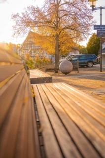 Empty wooden bench in a sunlit village square with half-timbered house in the background,