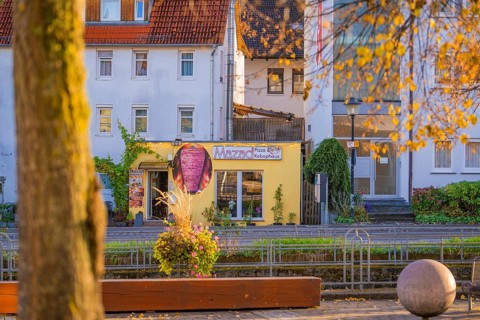 Autumn village street with a pizzeria in the background and tree in the foreground, Aidlingen,