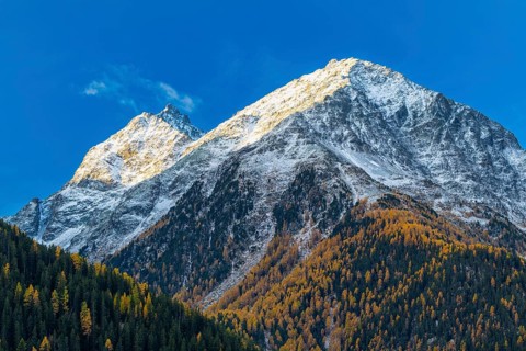 Mixed forest with larch trees (Larix) in autumn, mountain peaks with snow, autumn, Guarda, Engadin,