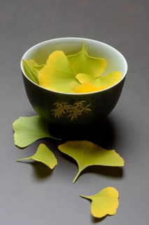 Ginkgo leaves in shell, ginkgo biloba