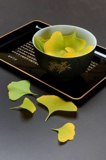 Ginkgo leaves in shell on tray, ginkgo biloba