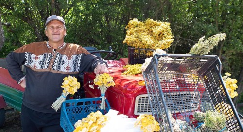 Serbian man, 44 years old, sells Serbian herbs for tea at Lake Vrmdza or natural lake at the foot