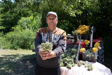 Serbian man, 44 years old, showing Serbian herbs for tea at Lake Vrmdza or natural lake at the foot