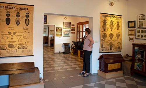 Beekeeping Museum in Sremski Karlovci, Vojvodina Province, Serbia