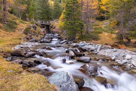 Mountain stream with wooden bridge, mixed forest, autumn, Pontresina, Bernina Pass, Engadin,