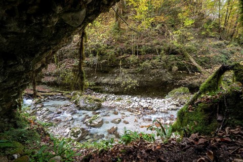 Stream in autumn, Gams, Styria, Austria