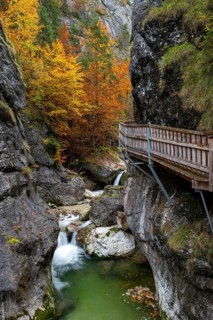 Holzsteg in der Nothklamm, autumn, Gams, Palfau, Hieflau, Styria, Austria