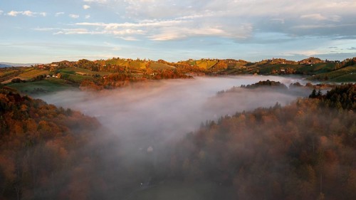 Aerial view, sunrise, typical landscape in autumn with vineyards, South Styrian hills, South