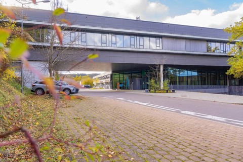Street scene in front of a modern office building surrounded by autumn leaves and a parking lot,
