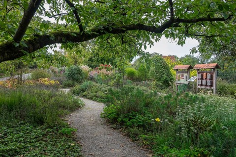 Kreislehrgarten, Burgsteinfurt, Münsterland, North Rhine-Westphalia, Germany