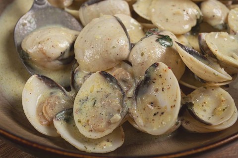 Vongole clams, in cream sauce, homemade, top view, no people