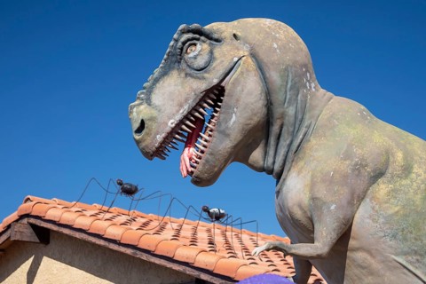 Henderson, Nevada - Dinosaurs dominate the yard of a house in suburban Las Vegas, placed there by