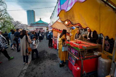 Food stalls with Japanese food, cherry blossom in spring, Hanami Festival, Ueno Park, Taito City,