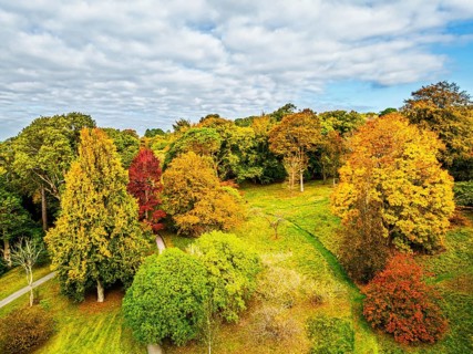 Autumn colours over Bodnant House and Garden from a drone, Conwy River, Colwyn Bay, Conwy, Wales,