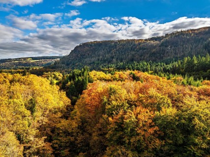 Autumn colours over Gwydir Forest Park from a drone, Afon Lledr, Road A470, Snowdonia, Eryri,