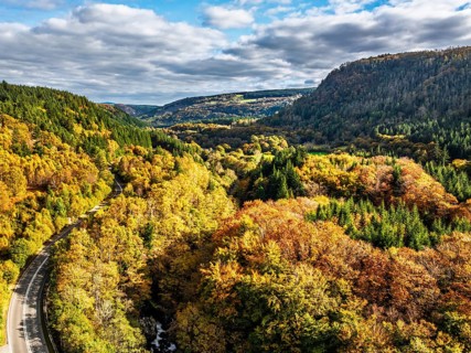 DeAutumn colours over Gwydir Forest Park from a drone, Afon Lledr, Road A470, Snowdonia, Eryri,