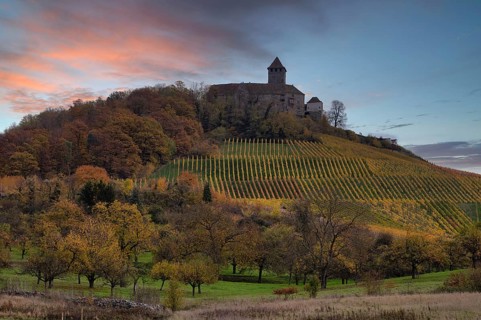 Lichtenberg Castle, Oberstenfeld, Bottwartal, Löwensteiner Mountains, vineyard, vines, viticulture,