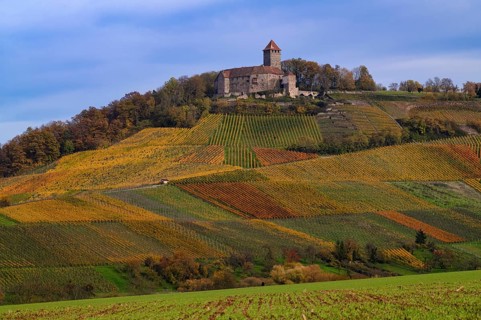 Lichtenberg Castle, Oberstenfeld, Bottwartal, Löwensteiner Mountains, vineyard, vines, viticulture,