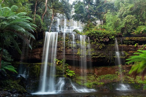Russell Falls. Australia's most beautiful waterfall in the green Tasmanian forest, between ferns