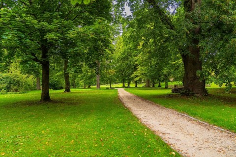 A quiet trail leads through a green park, lined with large, old trees, ZFP Zwiefalten, Reutlingen