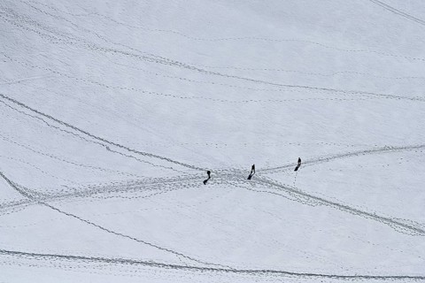 A group of mountaineers runs across a snow-covered mountain, Aiguille du Midi, Chamonix-Mont-Blanc,