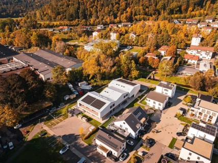 Diverse residential area in autumn atmosphere, surrounded by nature, Nagold, Black Forest, Germany
