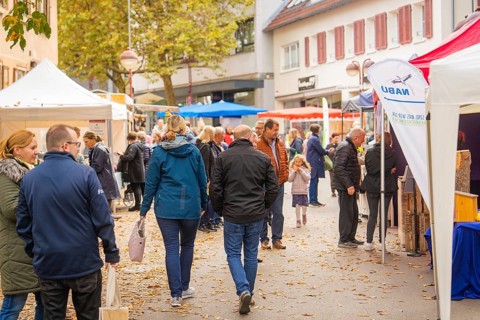 Families visit a lively market with a festive atmosphere and autumn decorations, traditional fruit
