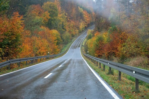 Mixed forest in autumn colors in Franconia on the B2 Nuremberg-Bayreuth, Upper Franconia, Bavaria,