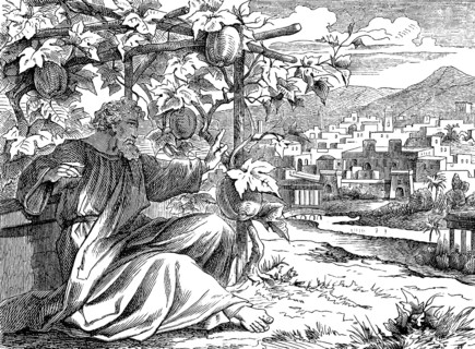 Jonah in front of his pumpkin hut at Nineveh, The Prophet Jonah, chapter 3, cityscape, mountains,