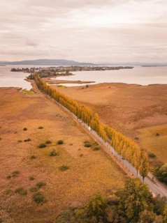 Long trail with orange trees along a lake under cloudy sky, Lindau, Lake Constance, Germany