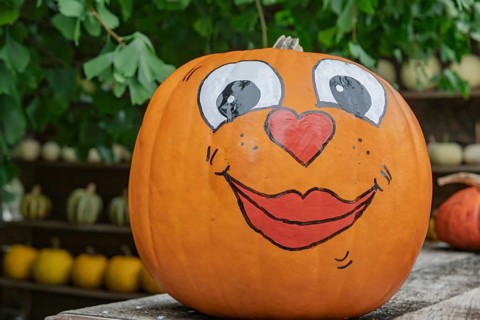 Painted pumpkin with happy face, Münsterland, North Rhine-Westphalia, Germany