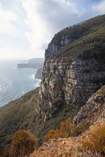 View of Shipstern Bluff. Cape Raoul, Tasman Peninsula, Tasmania, Australia